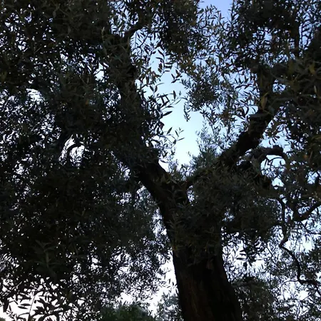 La Meridiana * Formia