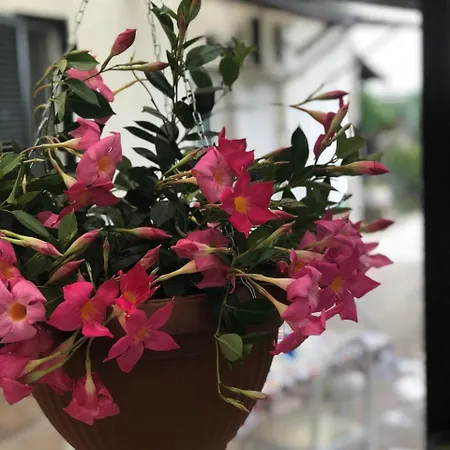Guest house La Meridiana Formia