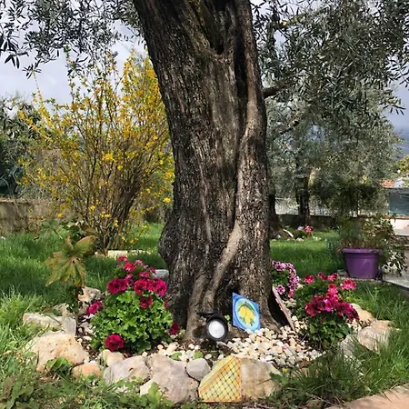 La Meridiana 招待所 福尔米亚